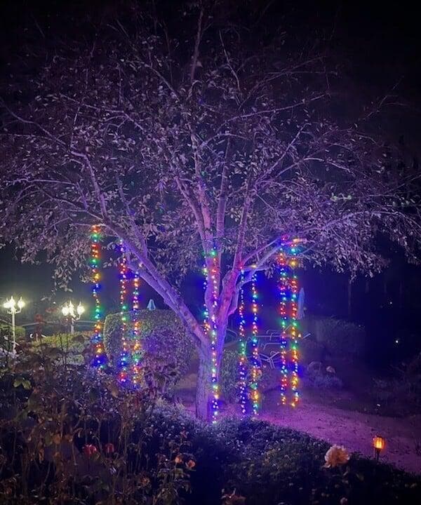 Christmas Lights Rain from Tree
