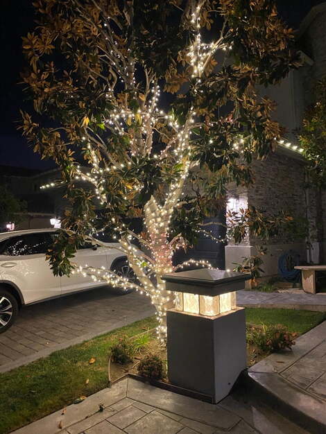 Bright or warm Christmas Lights on tree